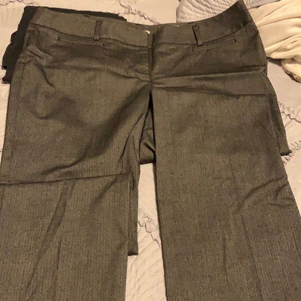Loft dress pants